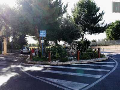 A Santo Spirito, il quartiere pi� settentrionale di Bari, l�iniziativa di uno sparuto gruppo di abitanti ha trasformato una vecchia aiuola semi abbandonata tra via Lucca e via Achille De Pascale in un allegro giardinetto